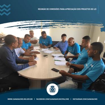 Reunião de comissões para apreciação dos projetos de lei
